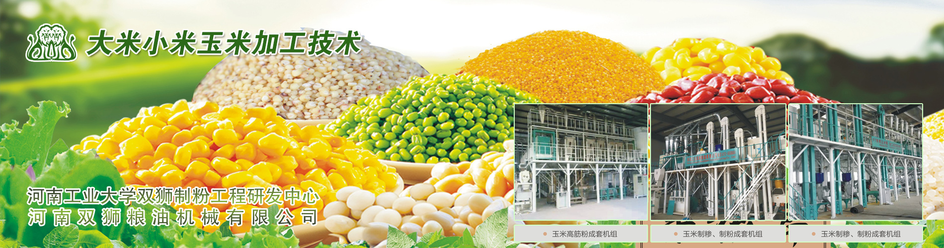 玉米加工設(shè)備,小米加工設(shè)備,大米加工設(shè)備